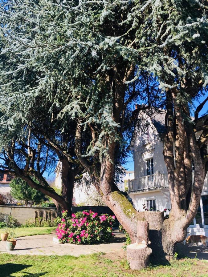 Chambres D'Hotes La Maison Blanche Saint-Junien Dış mekan fotoğraf