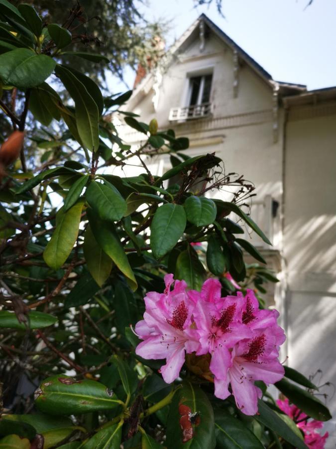 Chambres D'Hotes La Maison Blanche Saint-Junien Dış mekan fotoğraf